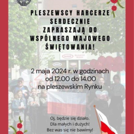 Dzień flagi w Pleszewie