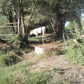 Górnik i fryzjerka płyną do Paryża foto_31