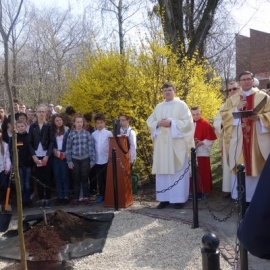 Sadzenie Dębu Niepodległości foto_17