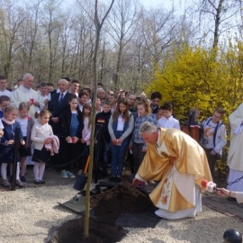 Sadzenie Dębu Niepodległości